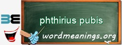 WordMeaning blackboard for phthirius pubis